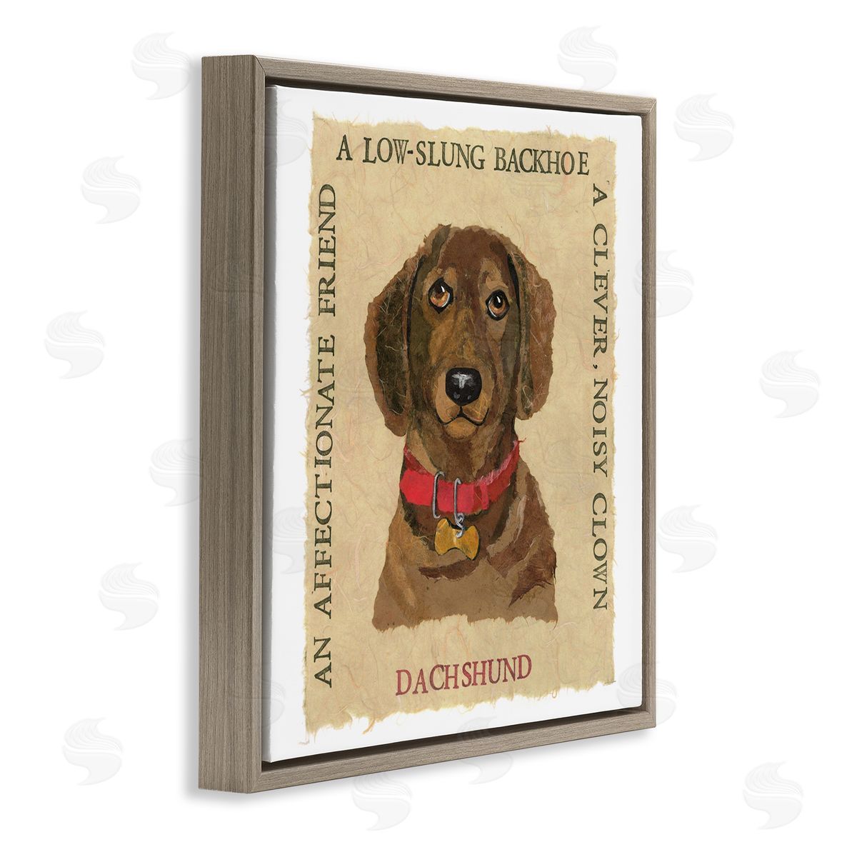 Nancy Overton Fun Dachshund Pet Phrases Brown Floating Frame Canvas Wall Art Print