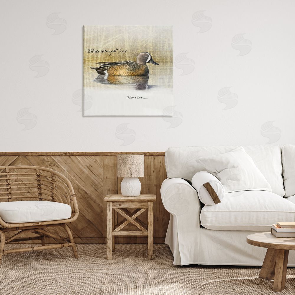 Jadei Graphics Blue Winged Teal Duck Canvas Wall Art Print in Room