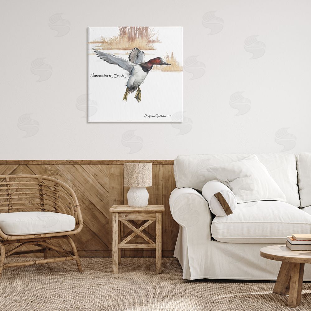 Jadei Graphics Canvasback Duck Flying Canvas Wall Art Print in Room