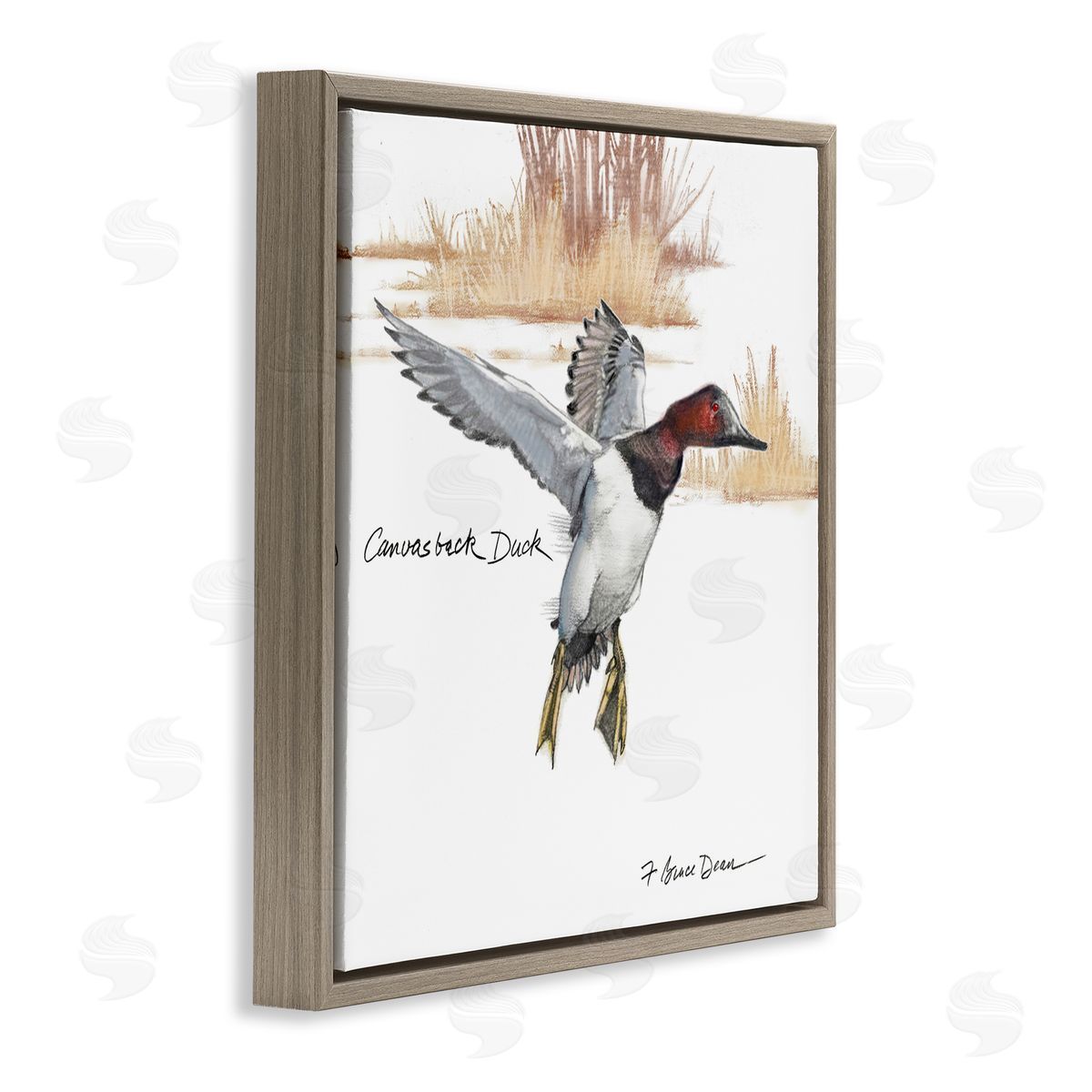 Jadei Graphics Canvasback Duck Flying Brown Floating Frame Canvas Wall Art Print