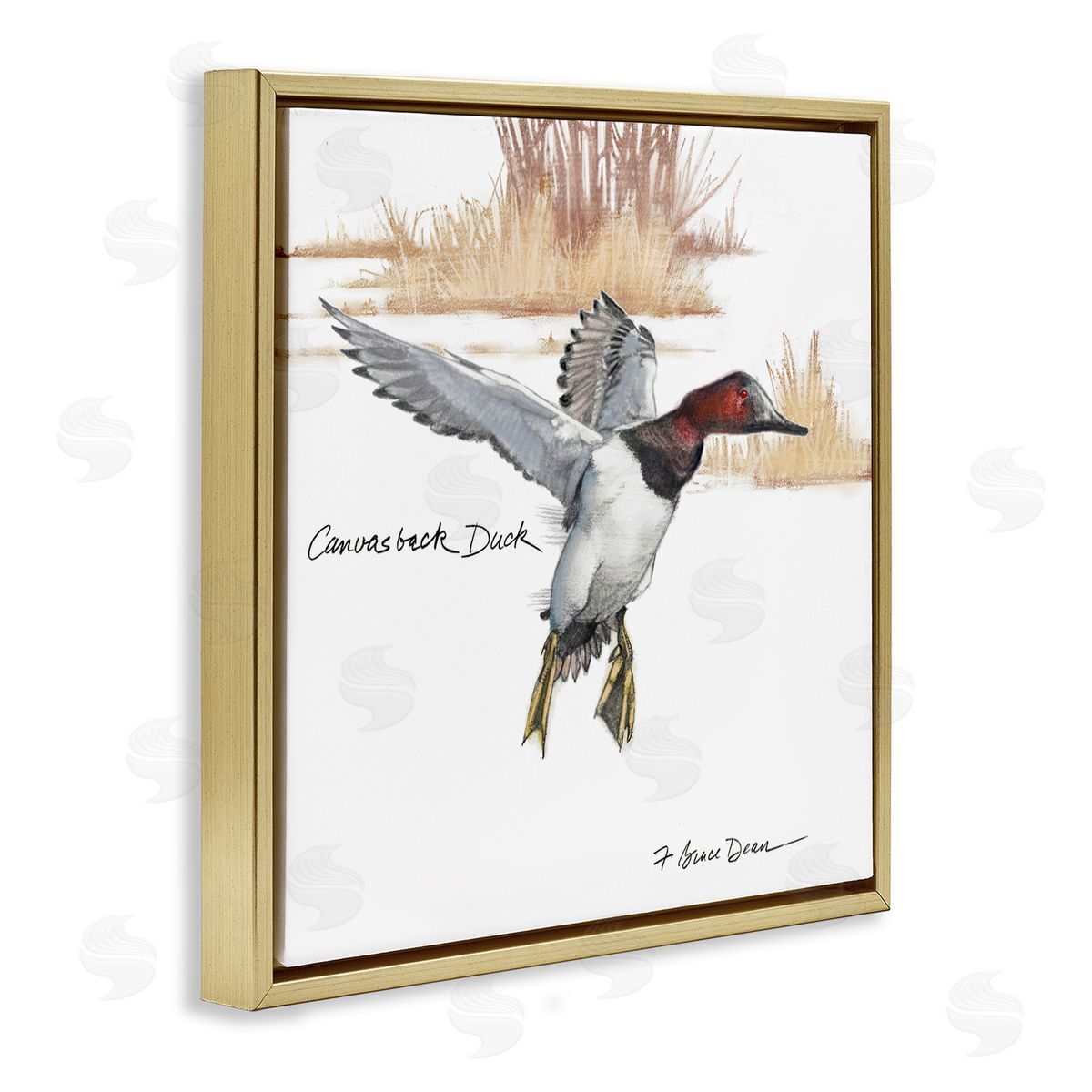 Jadei Graphics Canvasback Duck Flying Gold Floating Frame Canvas Wall Art Print