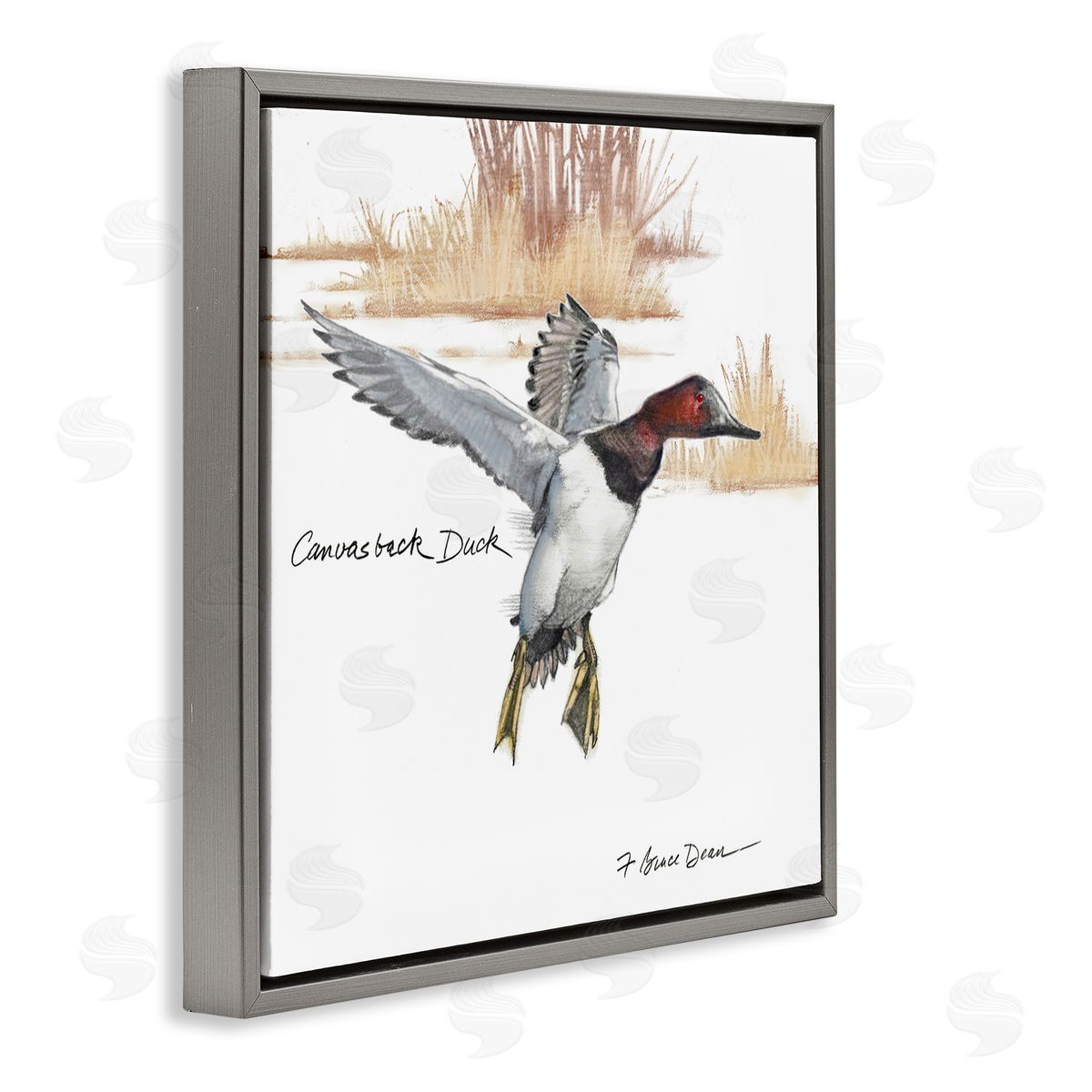 Jadei Graphics Canvasback Duck Flying Gray Floating Frame Canvas Wall Art Print