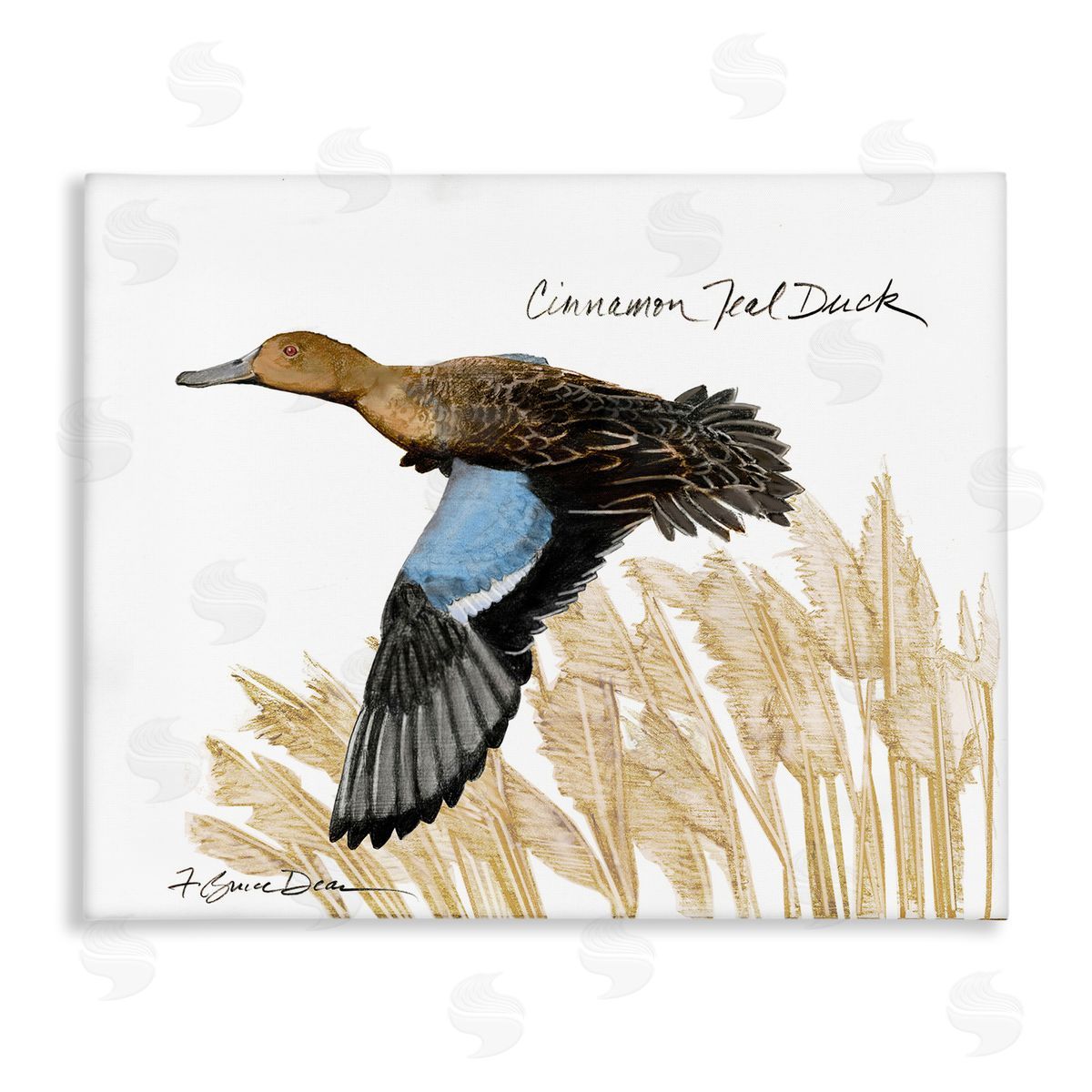 Cinnamon Teal Duck Flying Canvas Wall Art, Home Decor by Jadei Graphics