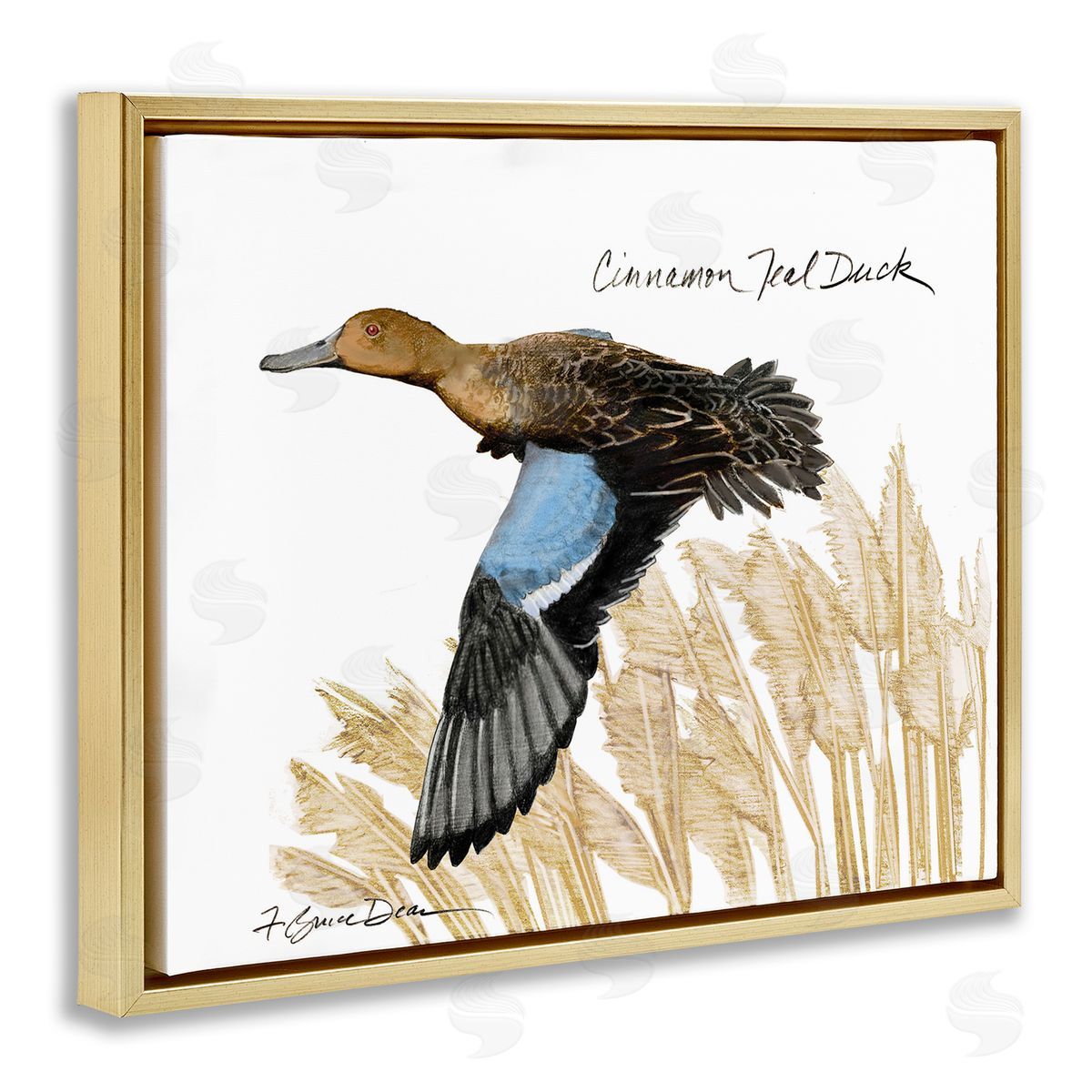 Cinnamon Teal Duck Flying Gold Floating Frame Canvas Wall Art, Home Decor by Jadei Graphics