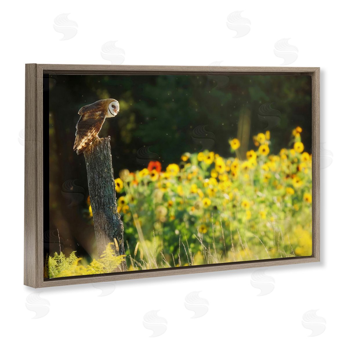 Owl Perched in Meadow Brown Floating Frame Canvas Wall Art, Home Decor by Carrie Ann Grippo-Pike