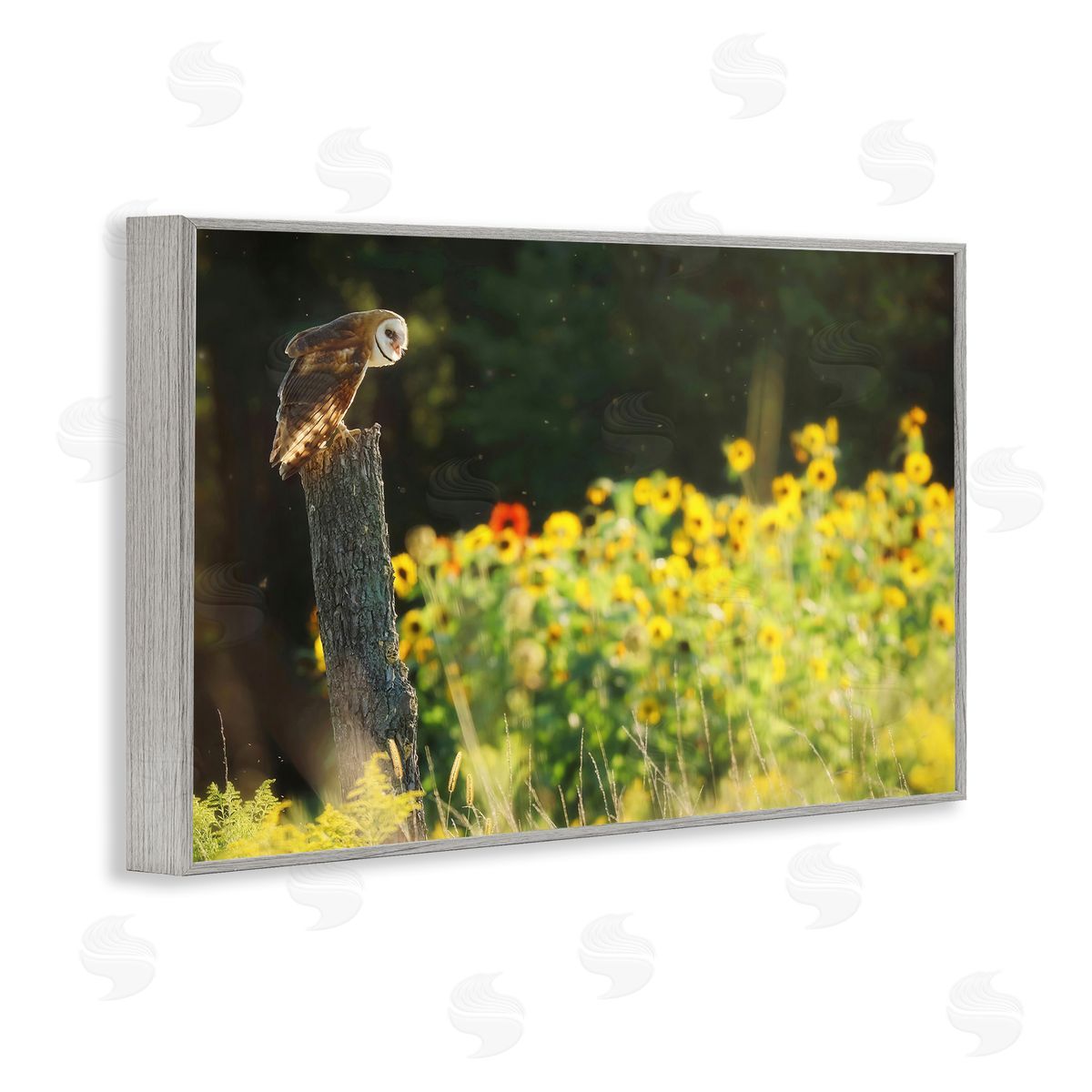 Owl Perched in Meadow Grey Frame Print Wall Art, Home Decor by Carrie Ann Grippo-Pike