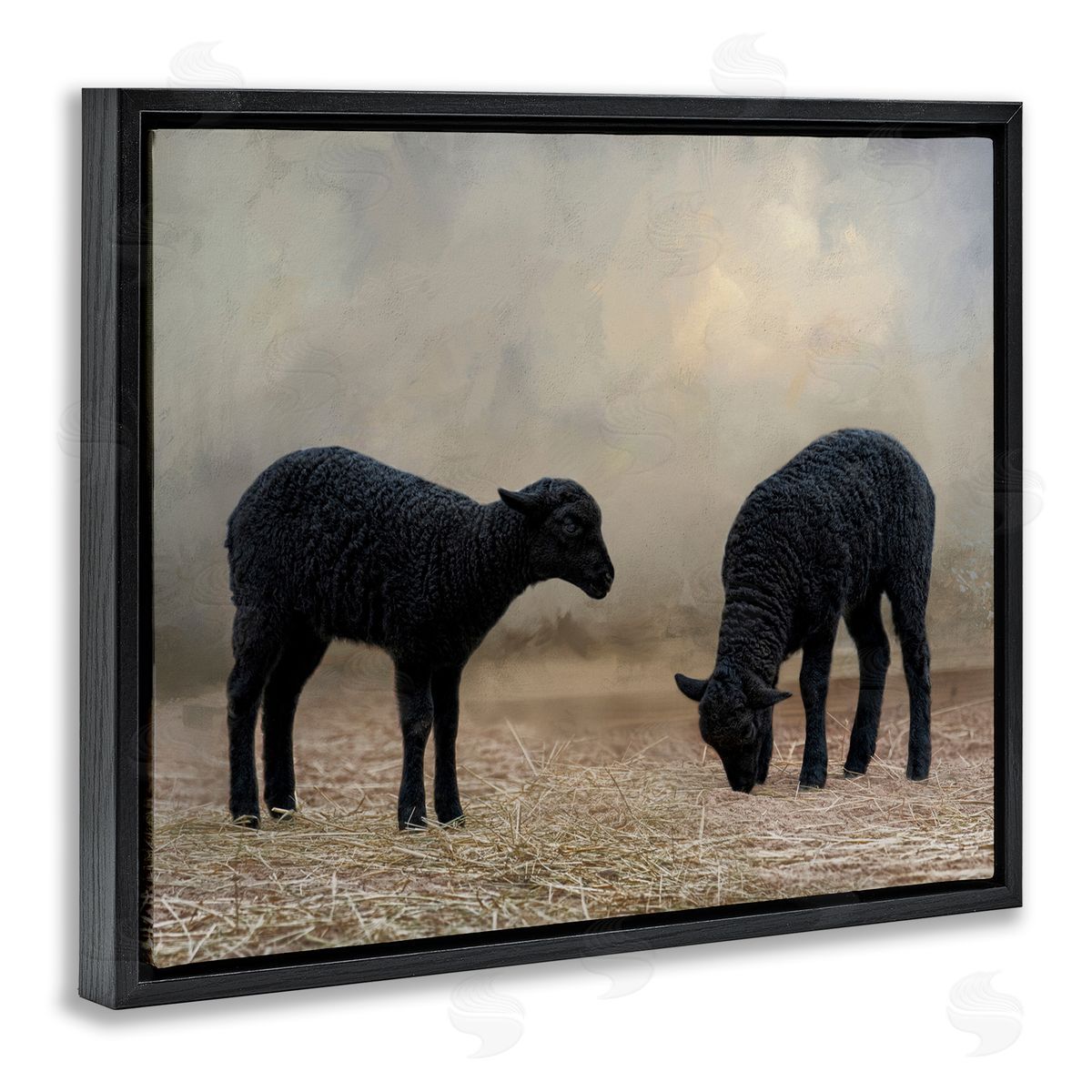 Black Sheep Grazing Black Floating Frame Canvas Wall Art, Home Decor by Kelley Parker
