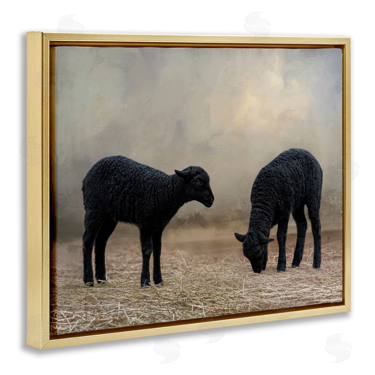 Black Sheep Grazing Gold Floating Frame Canvas Wall Art, Home Decor by Kelley Parker