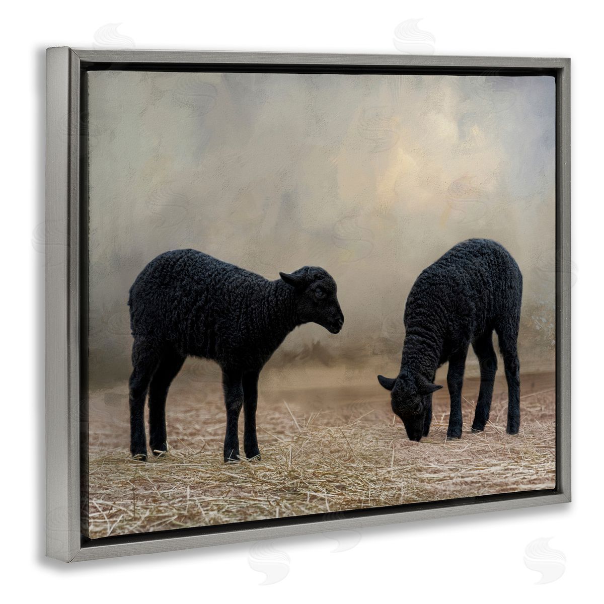 Black Sheep Grazing Grey Floating Frame Canvas Wall Art, Home Decor by Kelley Parker