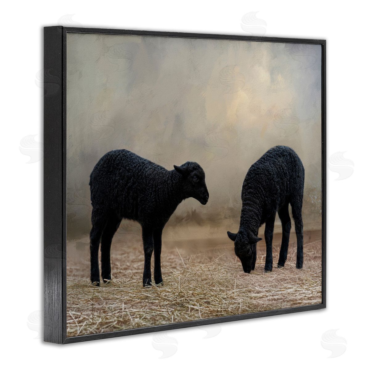 Black Sheep Grazing Black Frame Print Wall Art, Home Decor by Kelley Parker