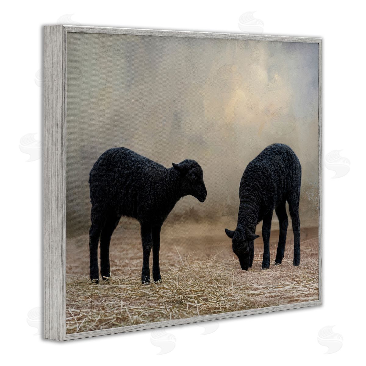 Black Sheep Grazing Grey Frame Print Wall Art, Home Decor by Kelley Parker