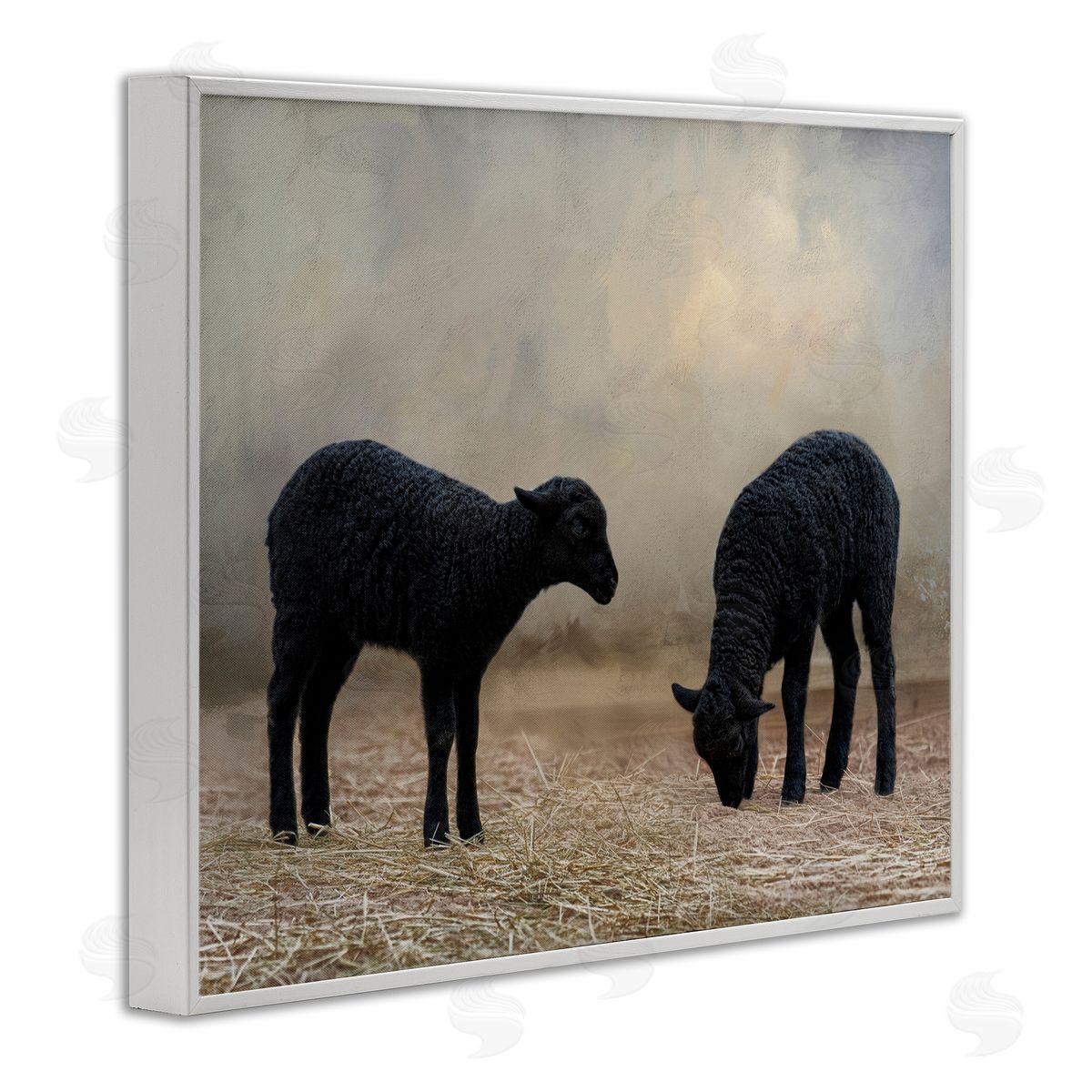 Black Sheep Grazing White Frame Print Wall Art, Home Decor by Kelley Parker