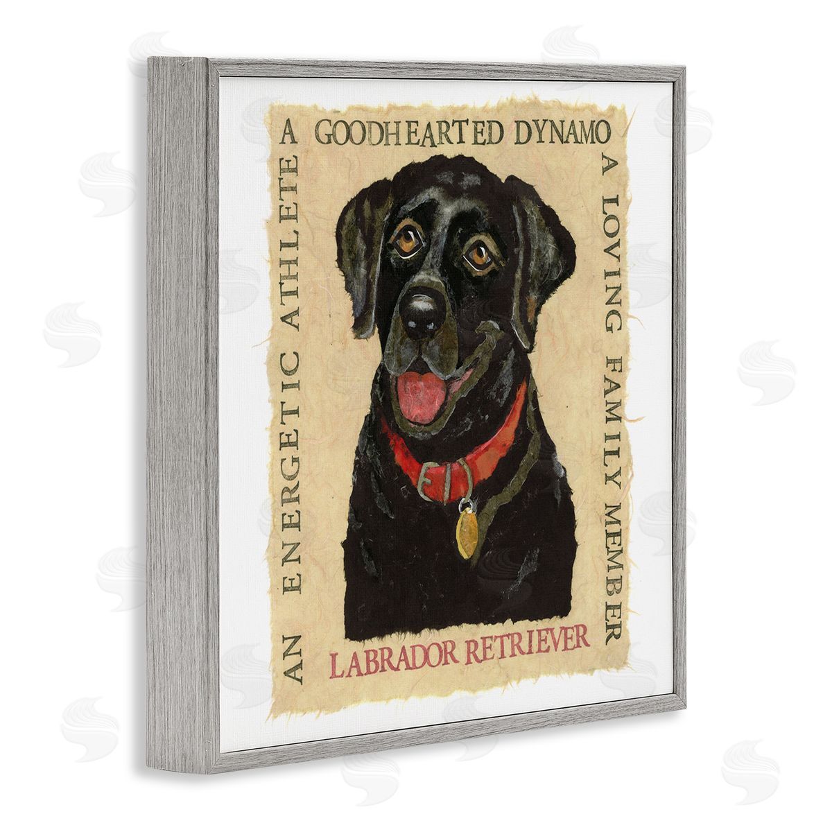 Nancy Overton Fun Black Labrador Phrases Gray Framed Giclee Wall Art Print
