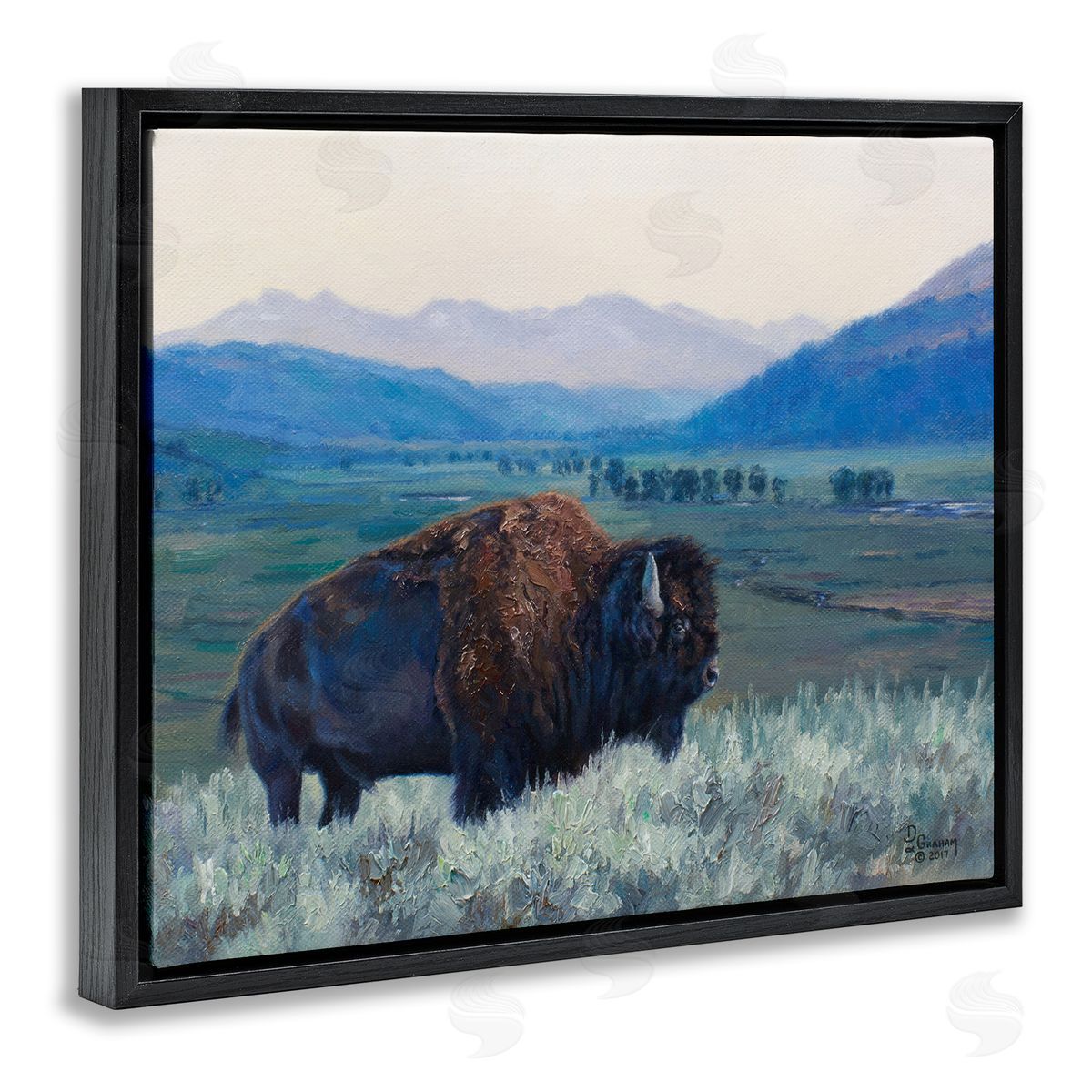 Bison and Country Mountains Black Floating Frame Canvas Wall Art, Home Decor by David Graham