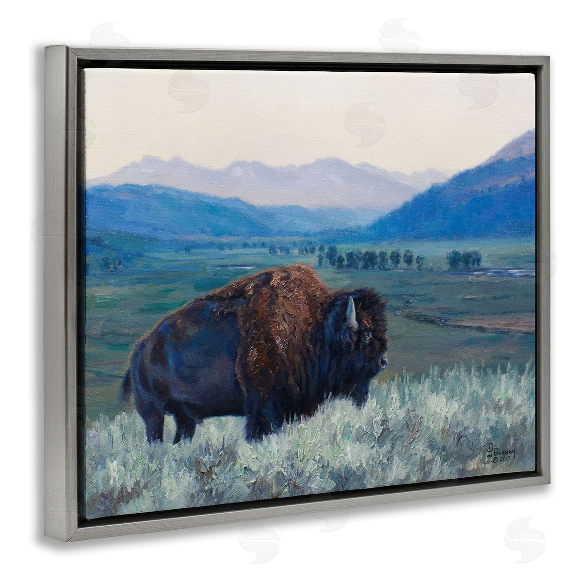 Bison and Country Mountains Grey Floating Frame Canvas Wall Art, Home Decor by David Graham