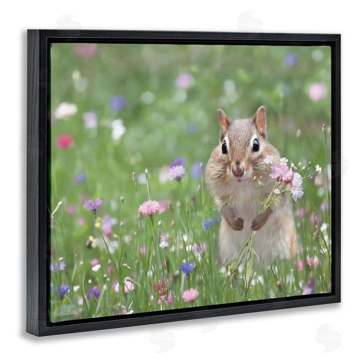 Chipmunk Picking Flowers Black Floating Frame Canvas Wall Art, Home Decor by Lori Deiter