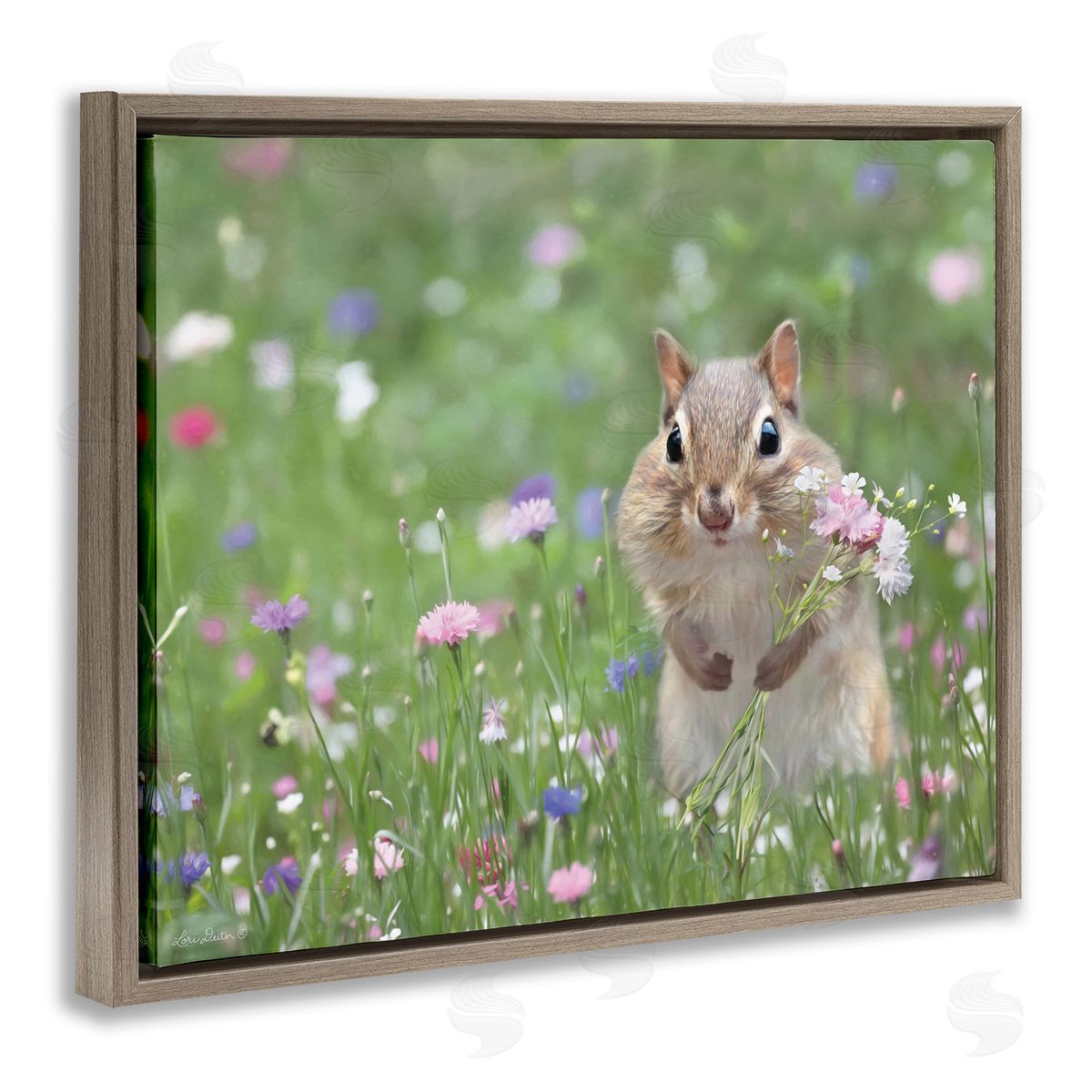 Chipmunk Picking Flowers Brown Floating Frame Canvas Wall Art, Home Decor by Lori Deiter