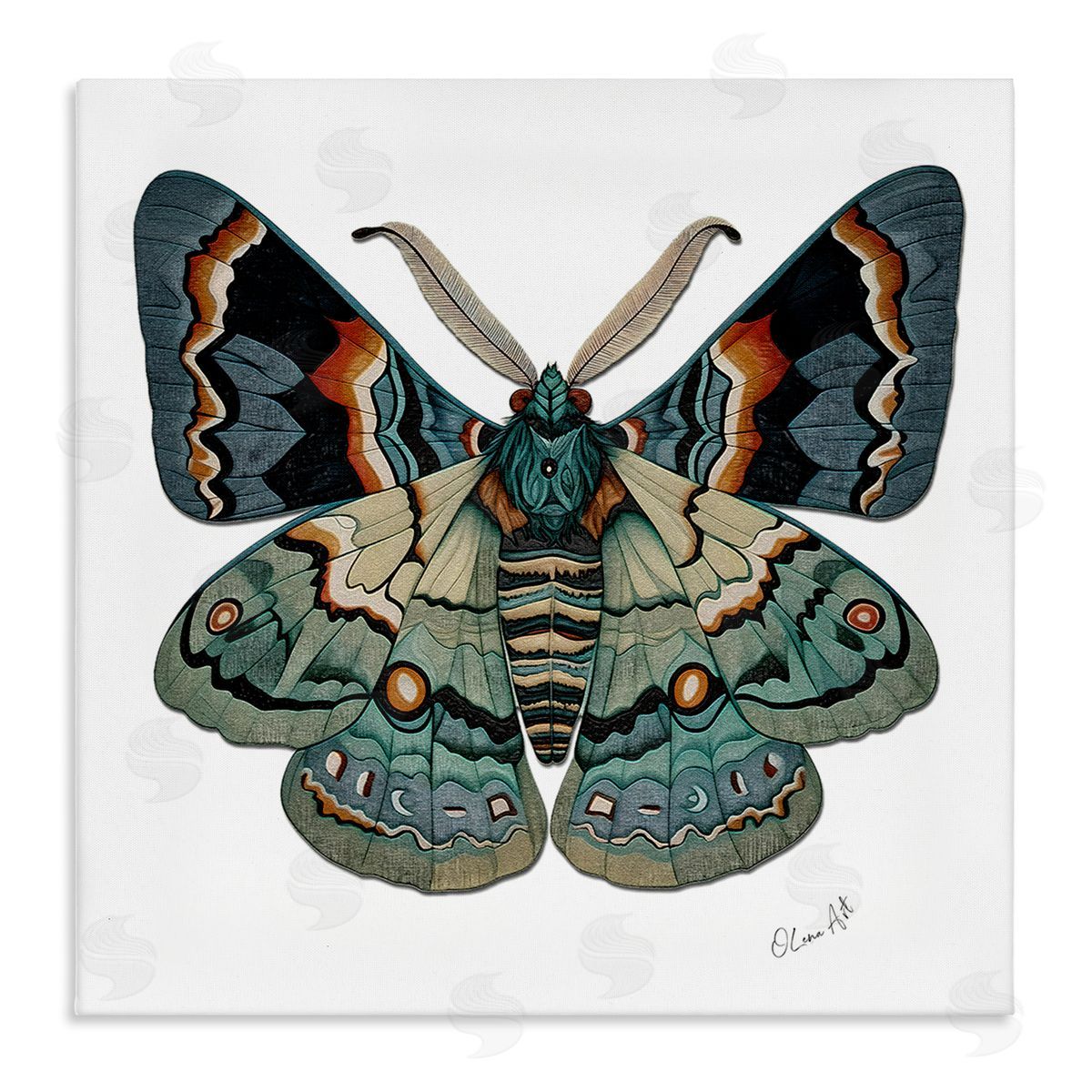 Lena Owens Symbol Of Change Moth Canvas Wall Art Print