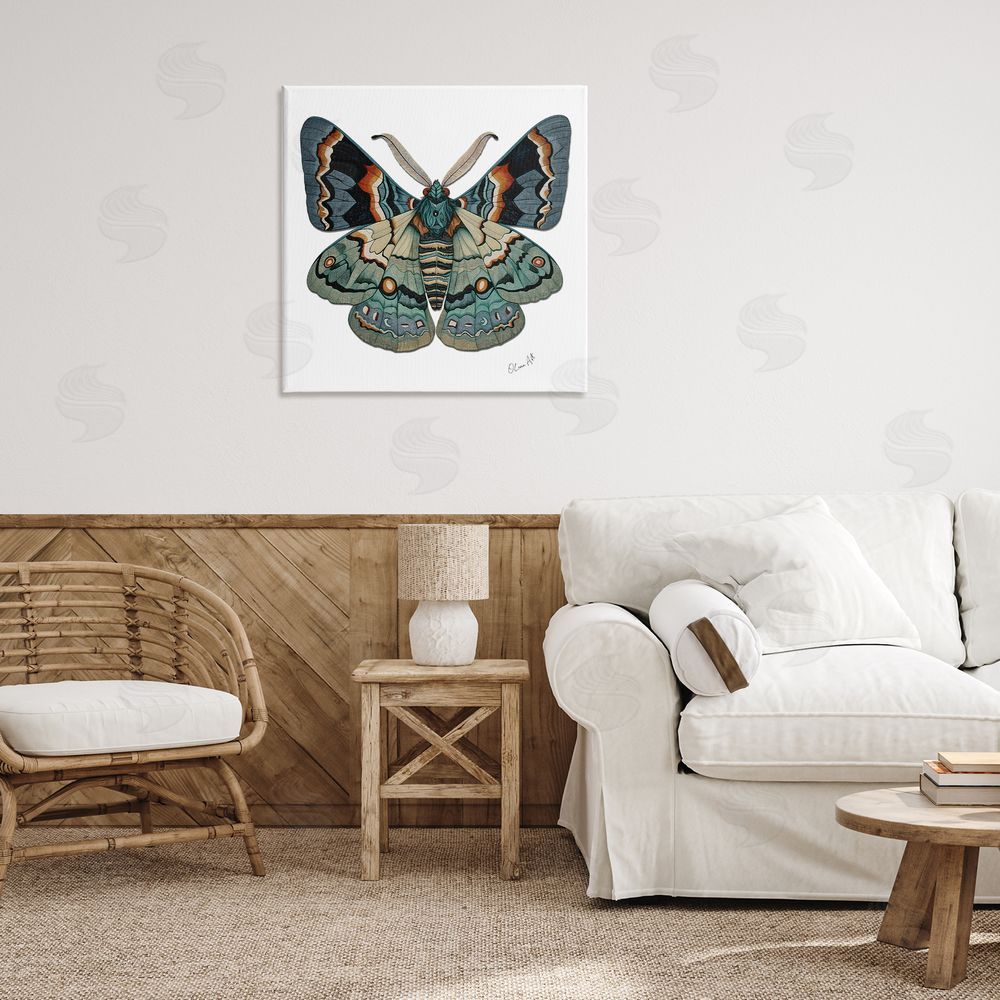 Lena Owens Symbol Of Change Moth Canvas Wall Art Print in Room