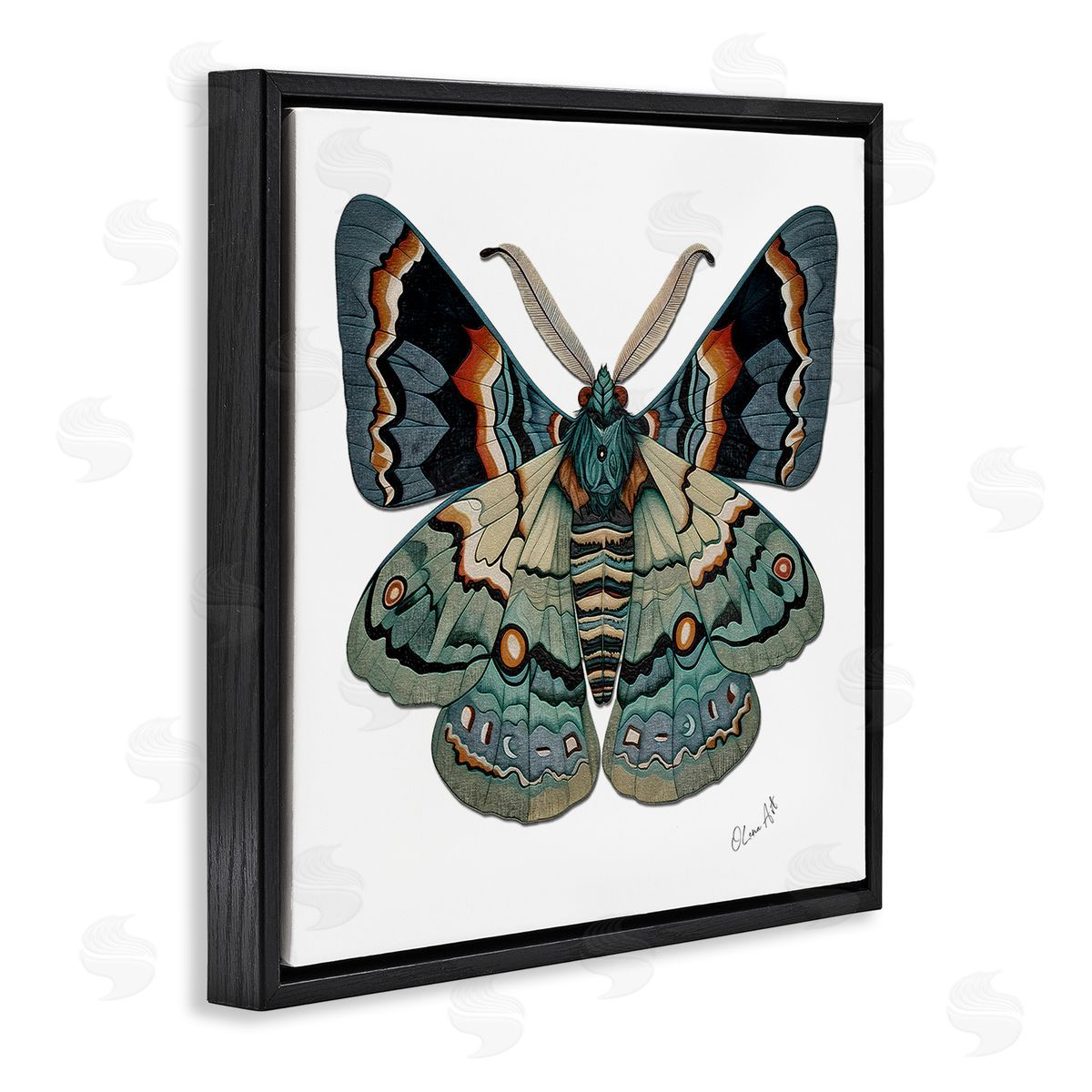 Lena Owens Symbol Of Change Moth Black Floating Frame Canvas Wall Art Print
