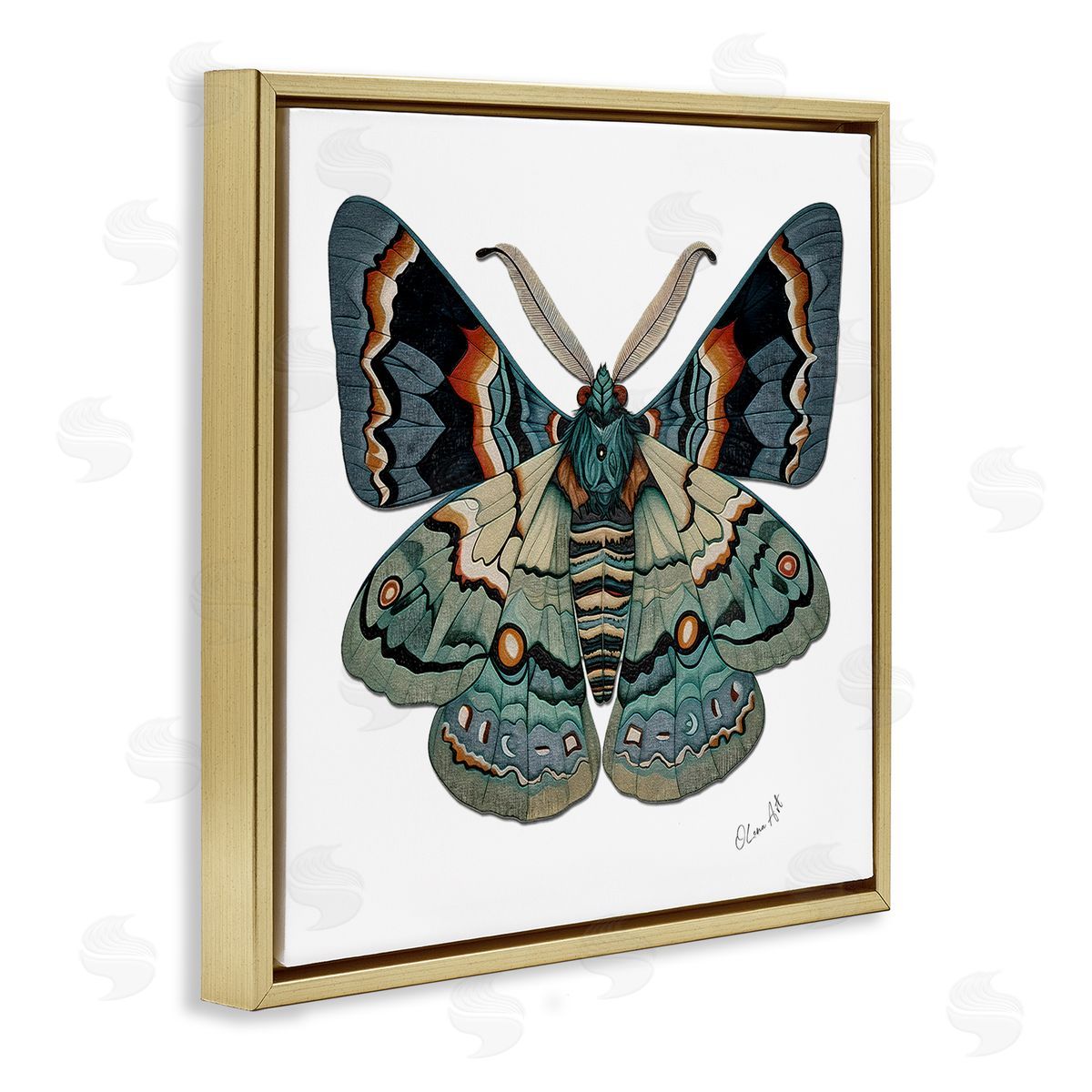 Lena Owens Symbol Of Change Moth Gold Floating Frame Canvas Wall Art Print