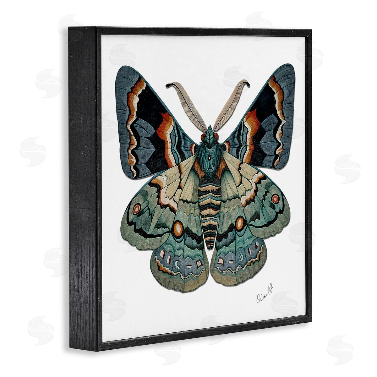 Lena Owens Symbol Of Change Moth Black Framed Giclee Wall Art Print
