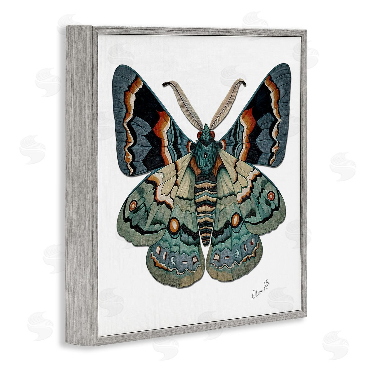Lena Owens Symbol Of Change Moth Gray Framed Giclee Wall Art Print