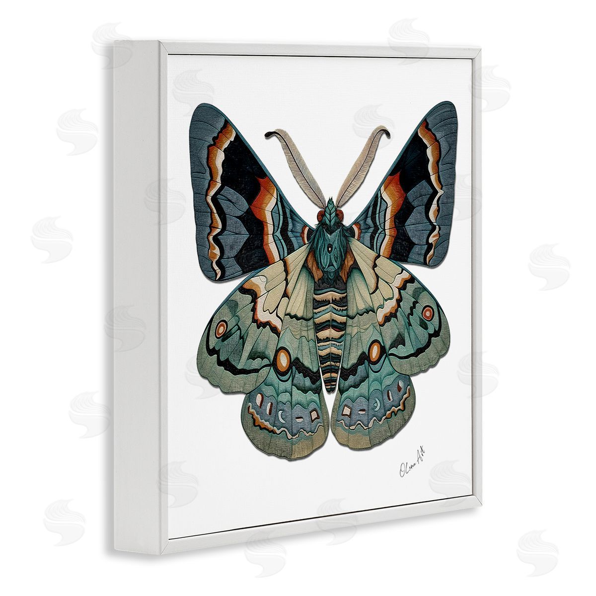 Lena Owens Symbol Of Change Moth White Framed Giclee Wall Art Print