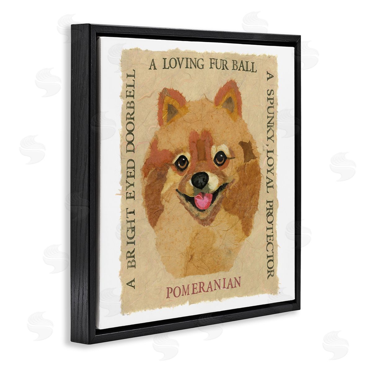 Nancy Overton Fun Pomeranian Pet Phrases Black Floating Frame Canvas Wall Art Print