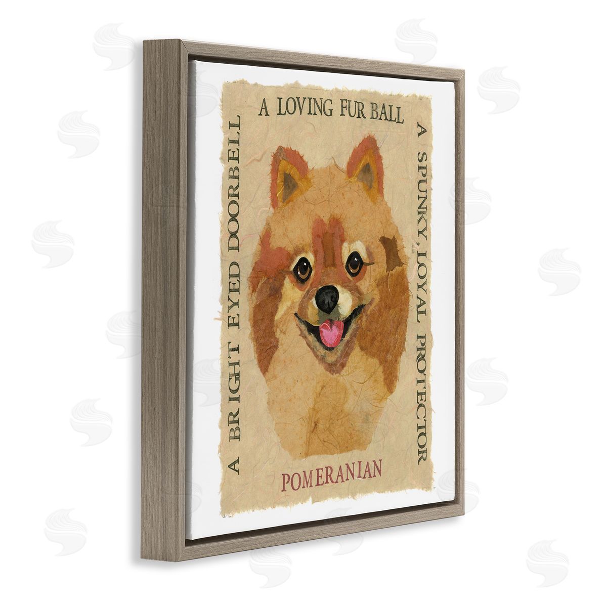 Nancy Overton Fun Pomeranian Pet Phrases Brown Floating Frame Canvas Wall Art Print