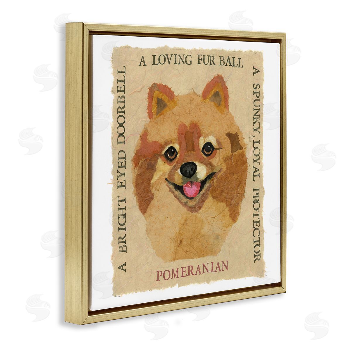 Nancy Overton Fun Pomeranian Pet Phrases Gold Floating Frame Canvas Wall Art Print