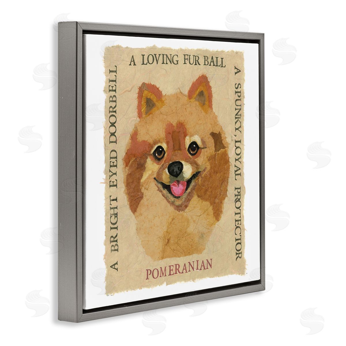 Nancy Overton Fun Pomeranian Pet Phrases Gray Floating Frame Canvas Wall Art Print