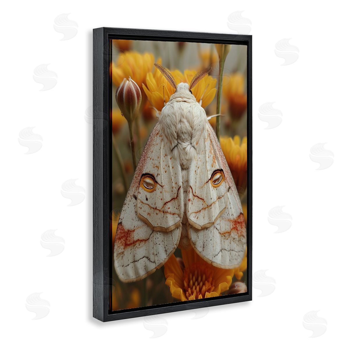 Delicate Luna Moth Black Floating Frame Canvas Wall Art, Home Decor by Roozbeh Bahramali