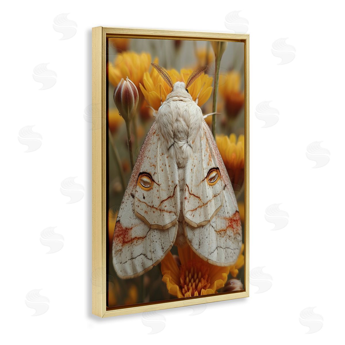 Delicate Luna Moth Gold Floating Frame Canvas Wall Art, Home Decor by Roozbeh Bahramali