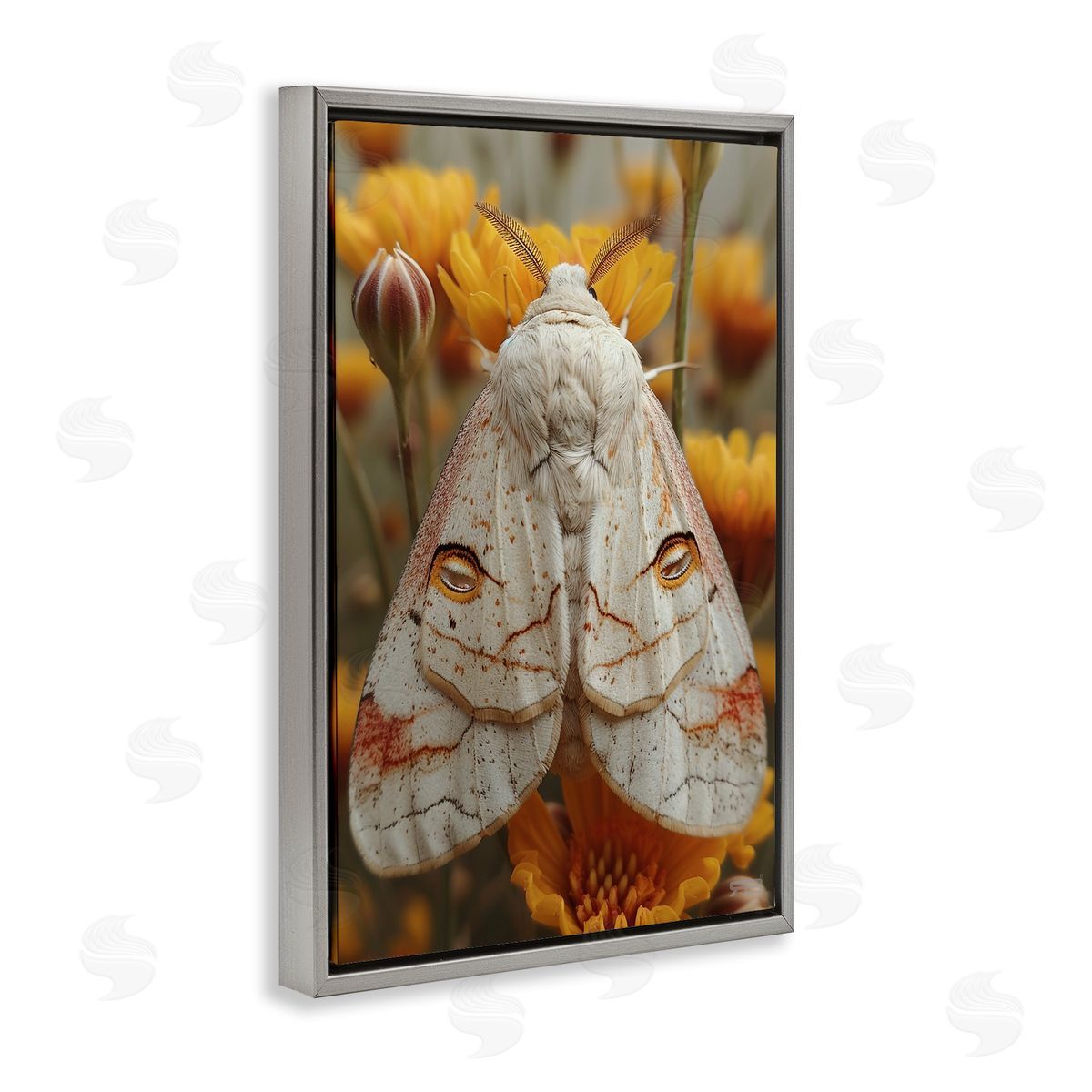 Delicate Luna Moth Grey Floating Frame Canvas Wall Art, Home Decor by Roozbeh Bahramali