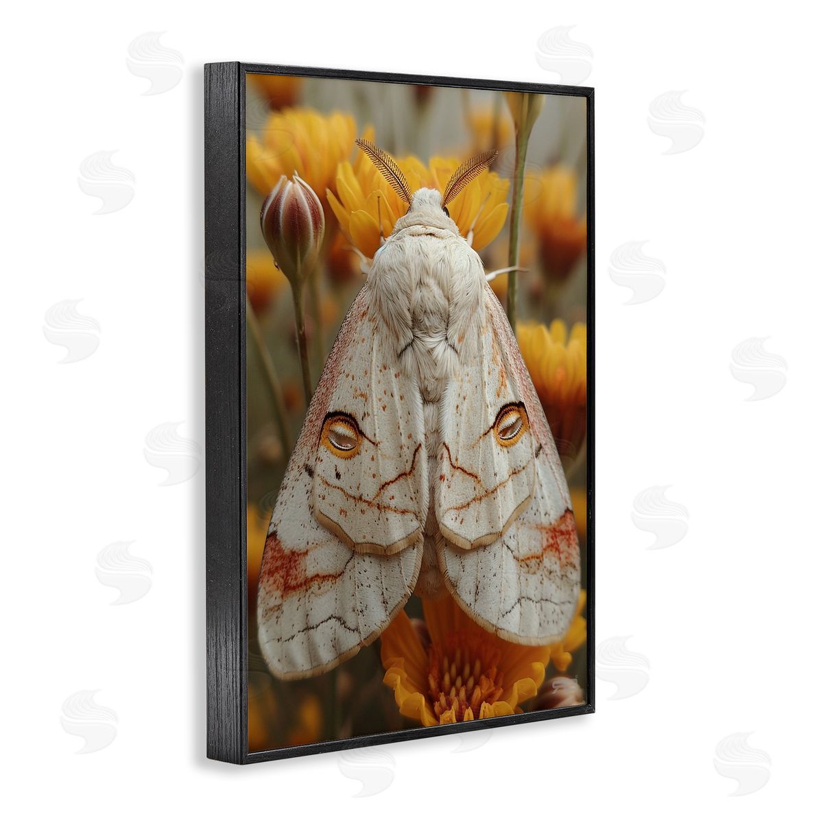Delicate Luna Moth Black Frame Print Wall Art, Home Decor by Roozbeh Bahramali
