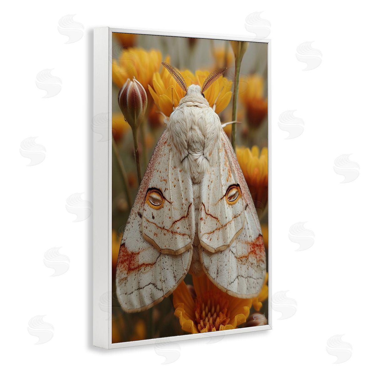 Delicate Luna Moth White Frame Print Wall Art, Home Decor by Roozbeh Bahramali
