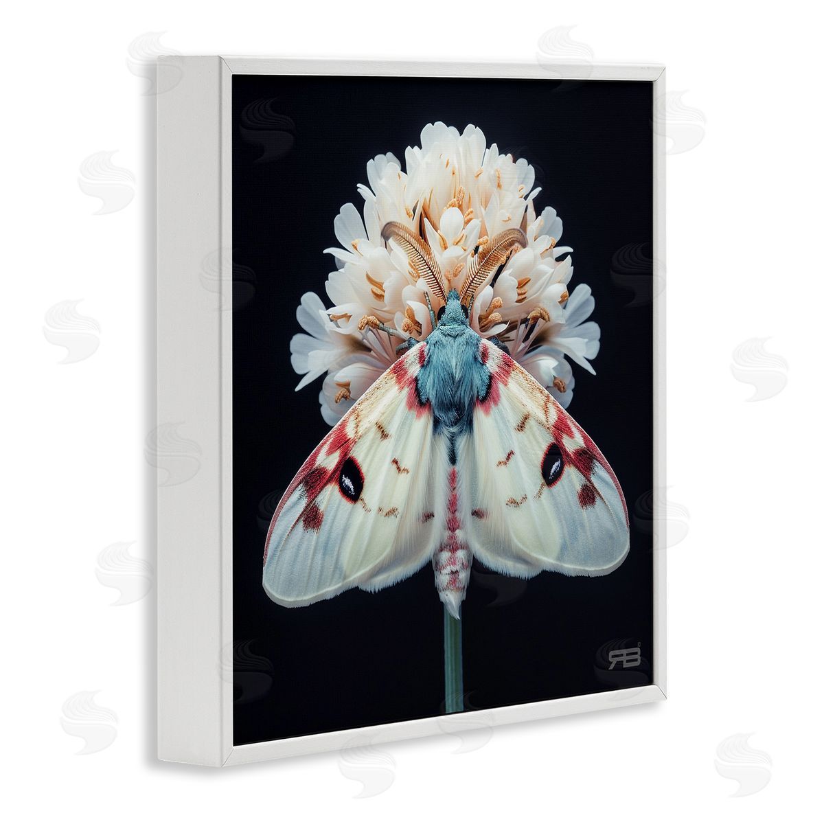 Moth and White Flowers White Frame Print Wall Art, Home Decor by Roozbeh Bahramali