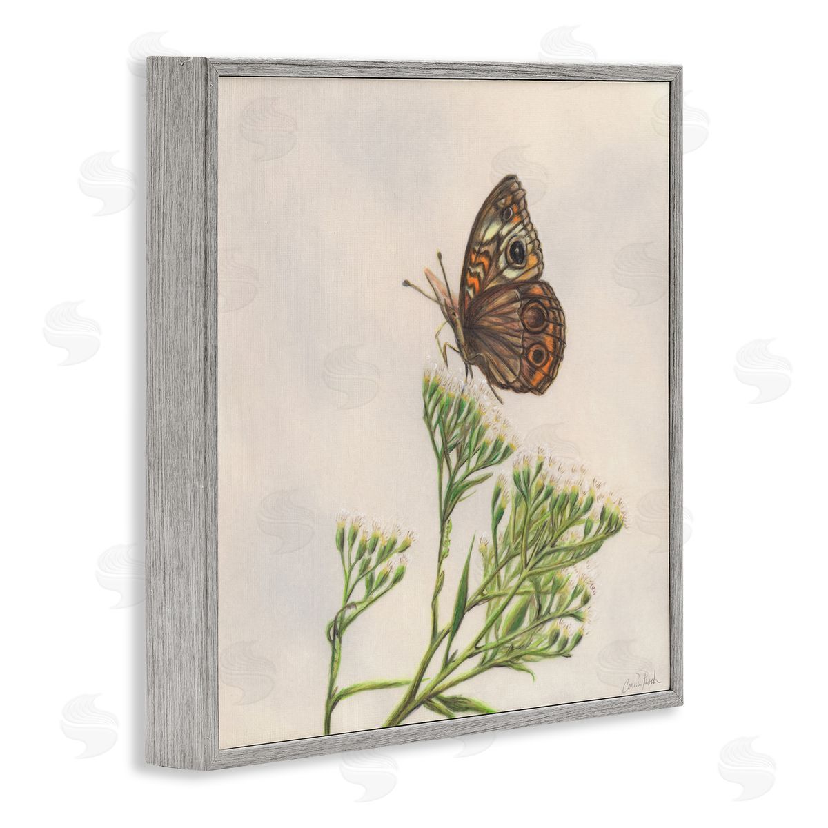 Spring Offerings Butterfly Grey Frame Print Wall Art, Home Decor by Connie Resch