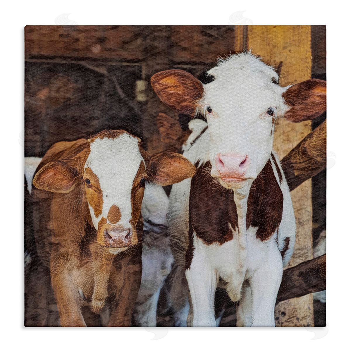 SunDance Group LLC Baby Cows on Farm Canvas Wall Art Print