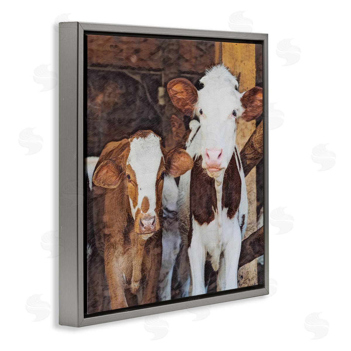 SunDance Group LLC Baby Cows on Farm Gray Floating Frame Canvas Wall Art Print