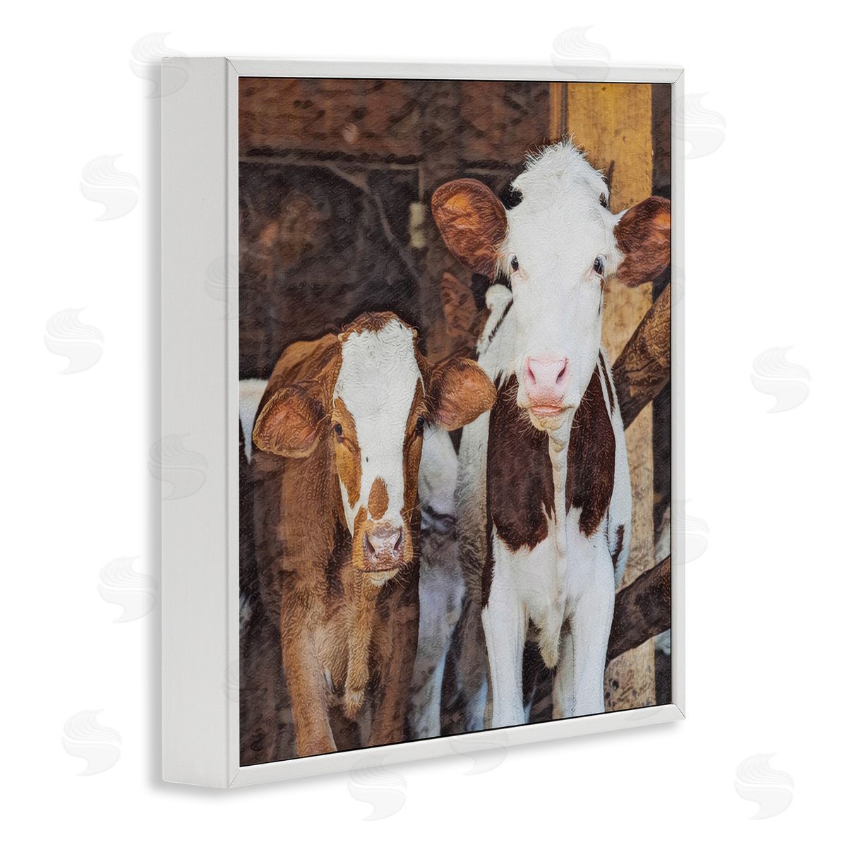 SunDance Group LLC Baby Cows on Farm White Framed Giclee Wall Art Print