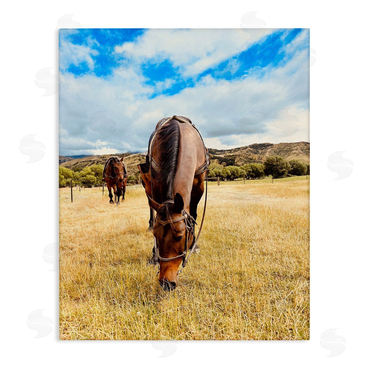 Kali Wilson Grazing Horses Pasture Canvas Wall Art Print