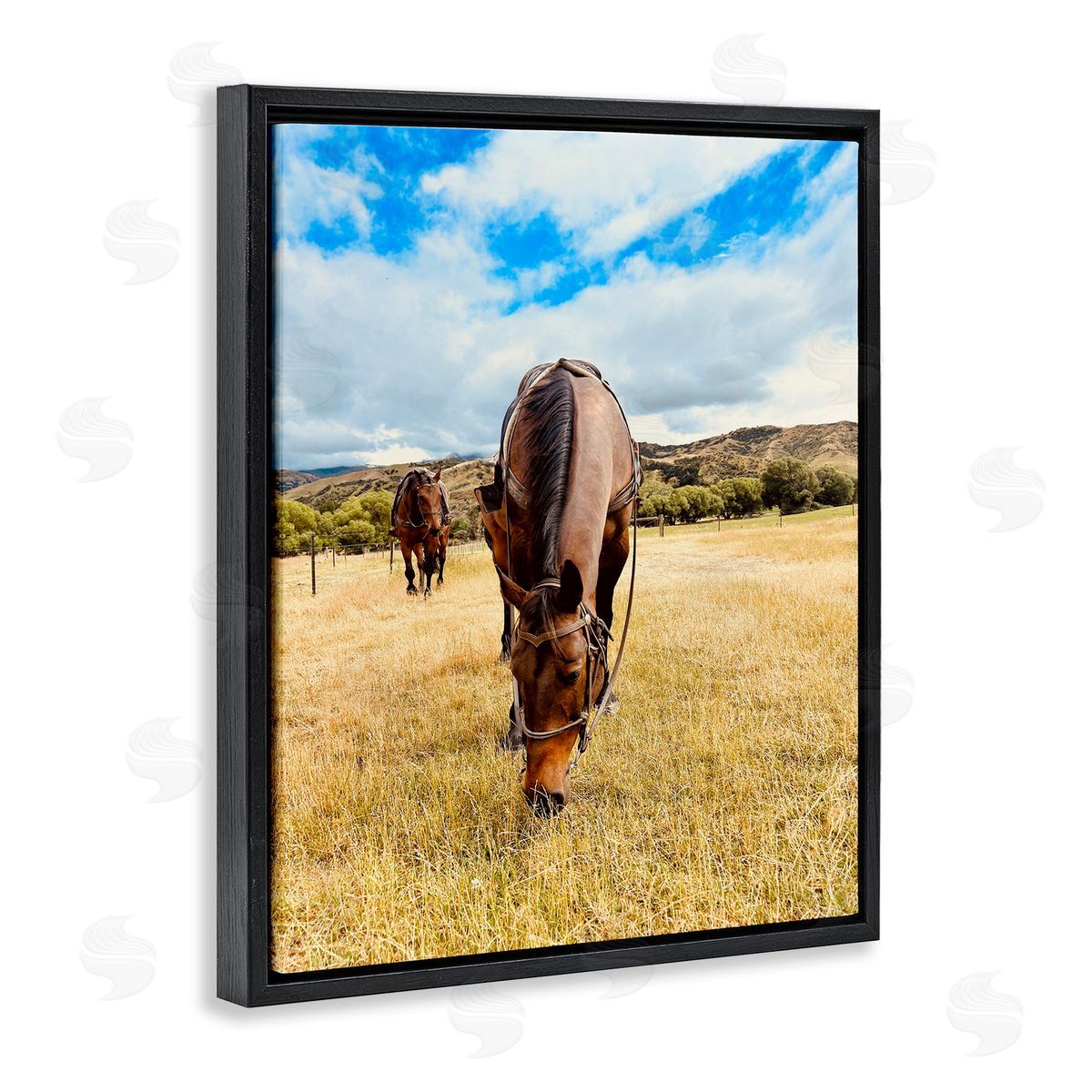 Kali Wilson Grazing Horses Pasture Black Floating Frame Canvas Wall Art Print