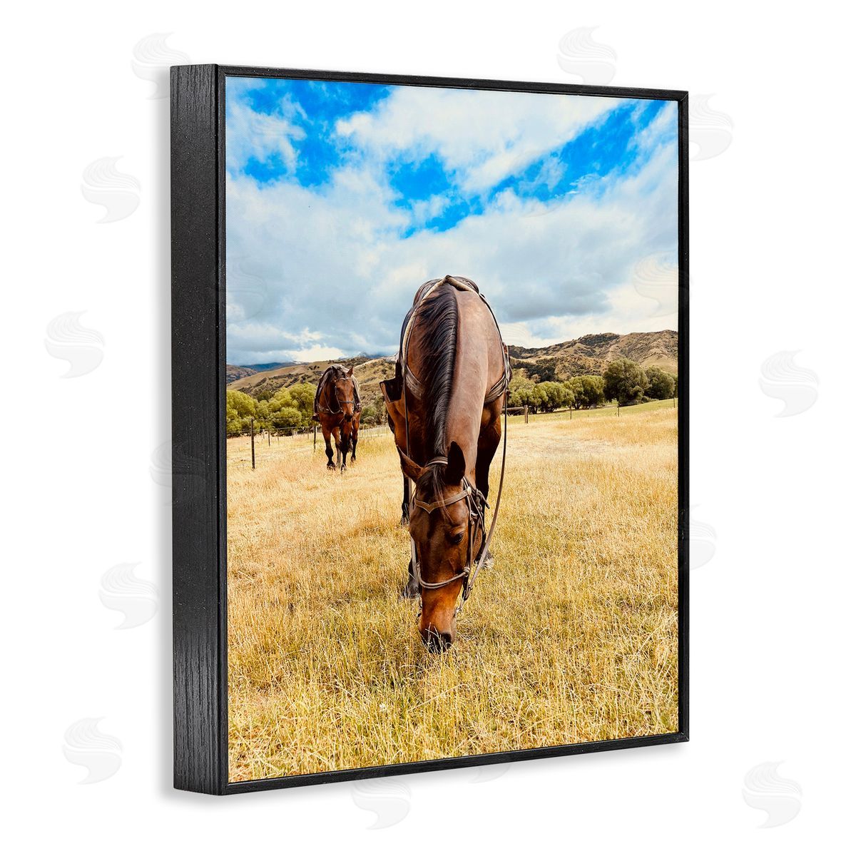 Kali Wilson Grazing Horses Pasture Black Framed Giclee Wall Art Print