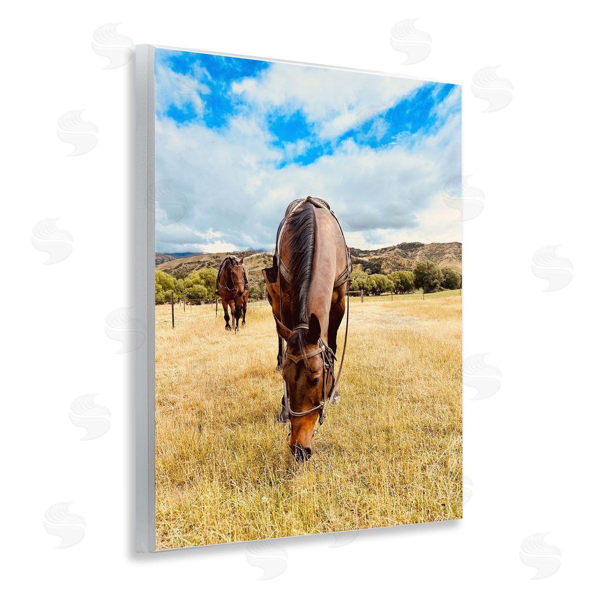 Kali Wilson Grazing Horses Pasture Wooden Wall Plaque Art Print