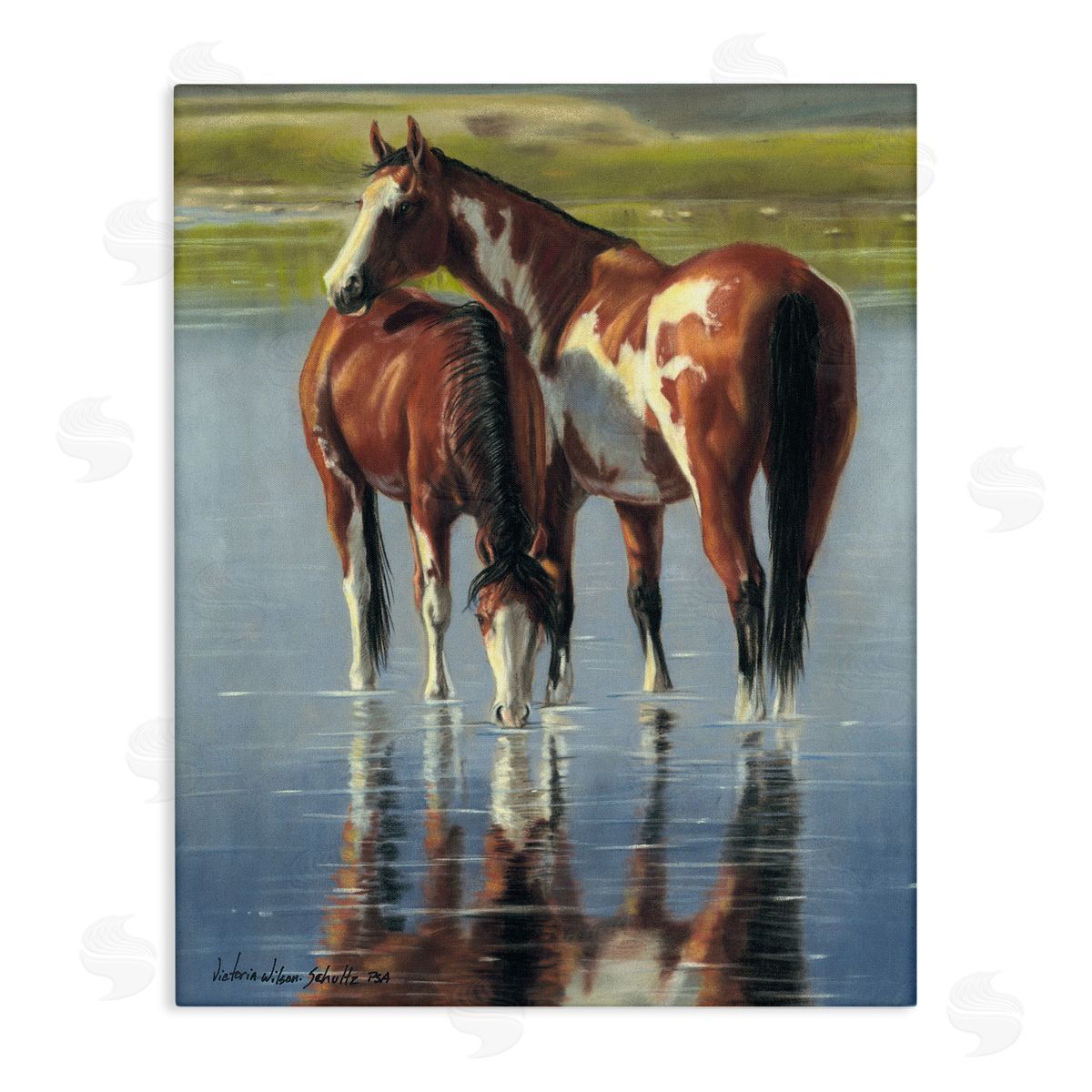 Horse and Foal Splashing Canvas Wall Art, Home Decor by Victoria Schultz