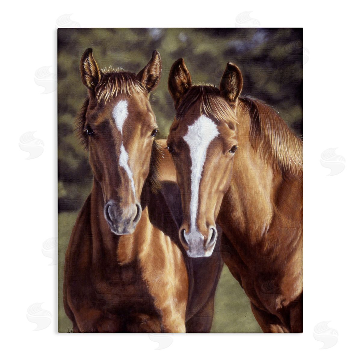 Brown Horse Pair Canvas Wall Art, Home Decor by Victoria Schultz