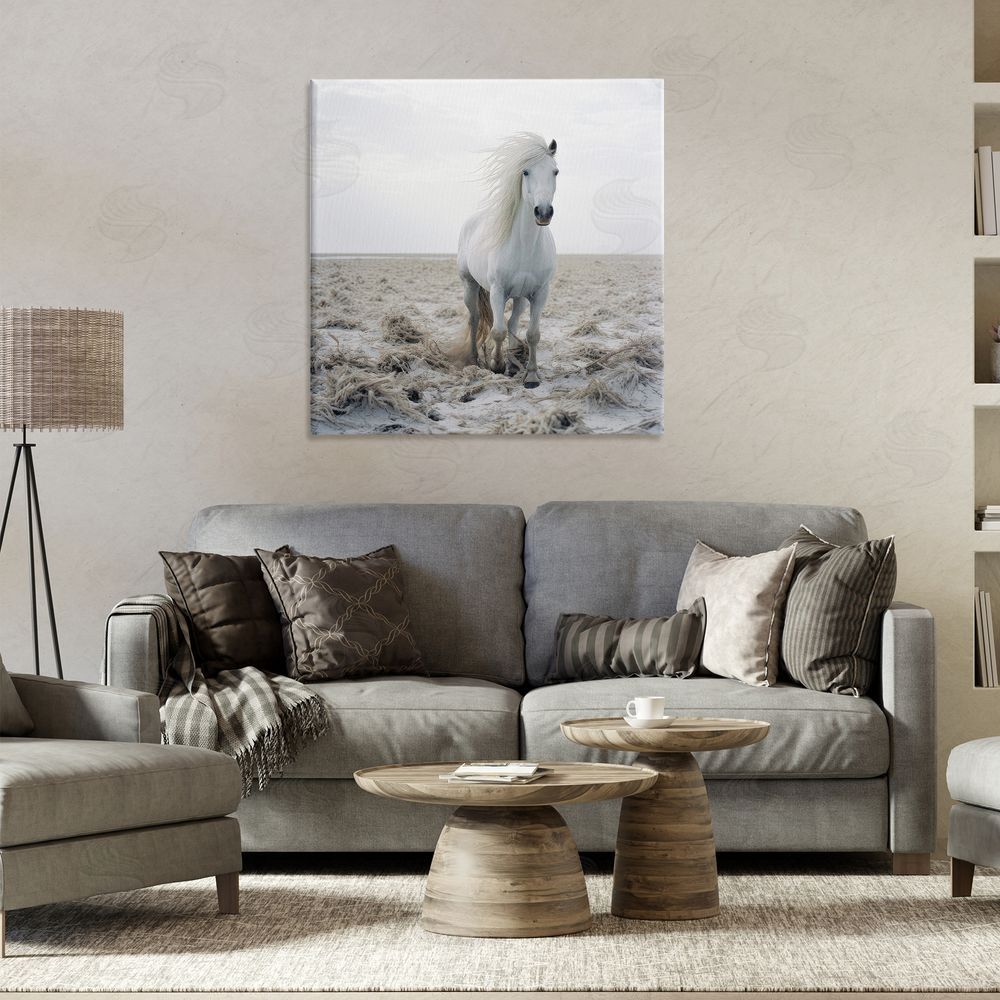 Ray Powers Windswept Beach Horse Canvas Wall Art Print in Room