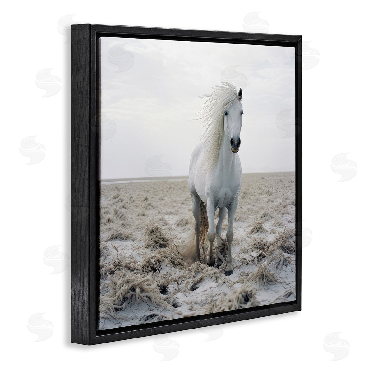 Ray Powers Windswept Beach Horse Black Floating Frame Canvas Wall Art Print
